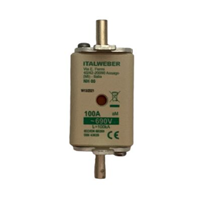 Fusible 100 Amp Italweber